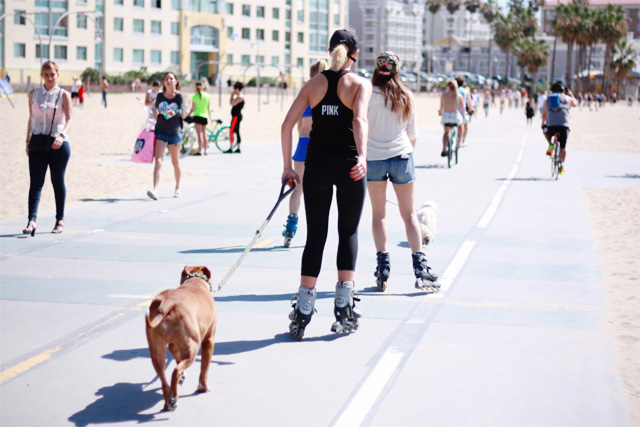 Rollerblading and dog walking